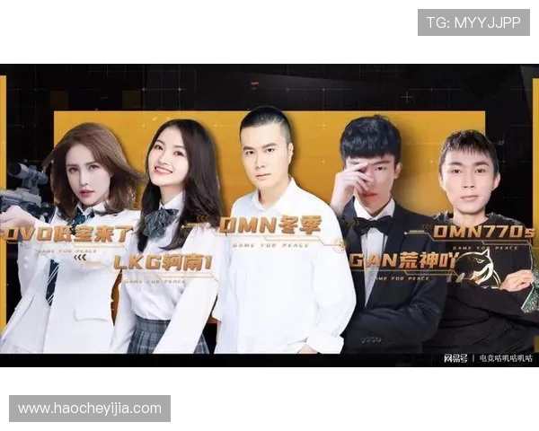 和平精英耐力排行榜更新RNG战队荣登第八名引发热议