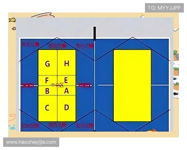 张静独家分享乒乓球技巧与心得助你提升球技的秘诀与经验